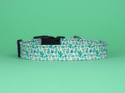 Cactus Dog Collar