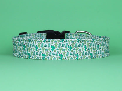 Cactus Dog Collar