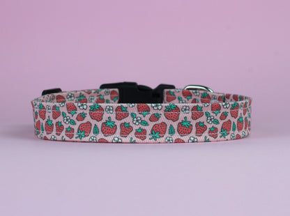 Strawberries Dog Collar