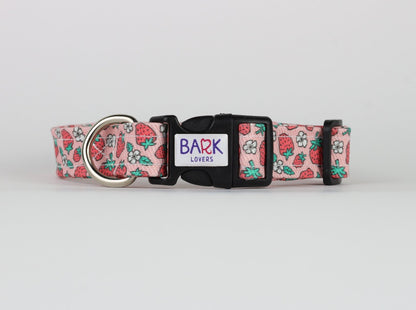 Strawberries Dog Collar