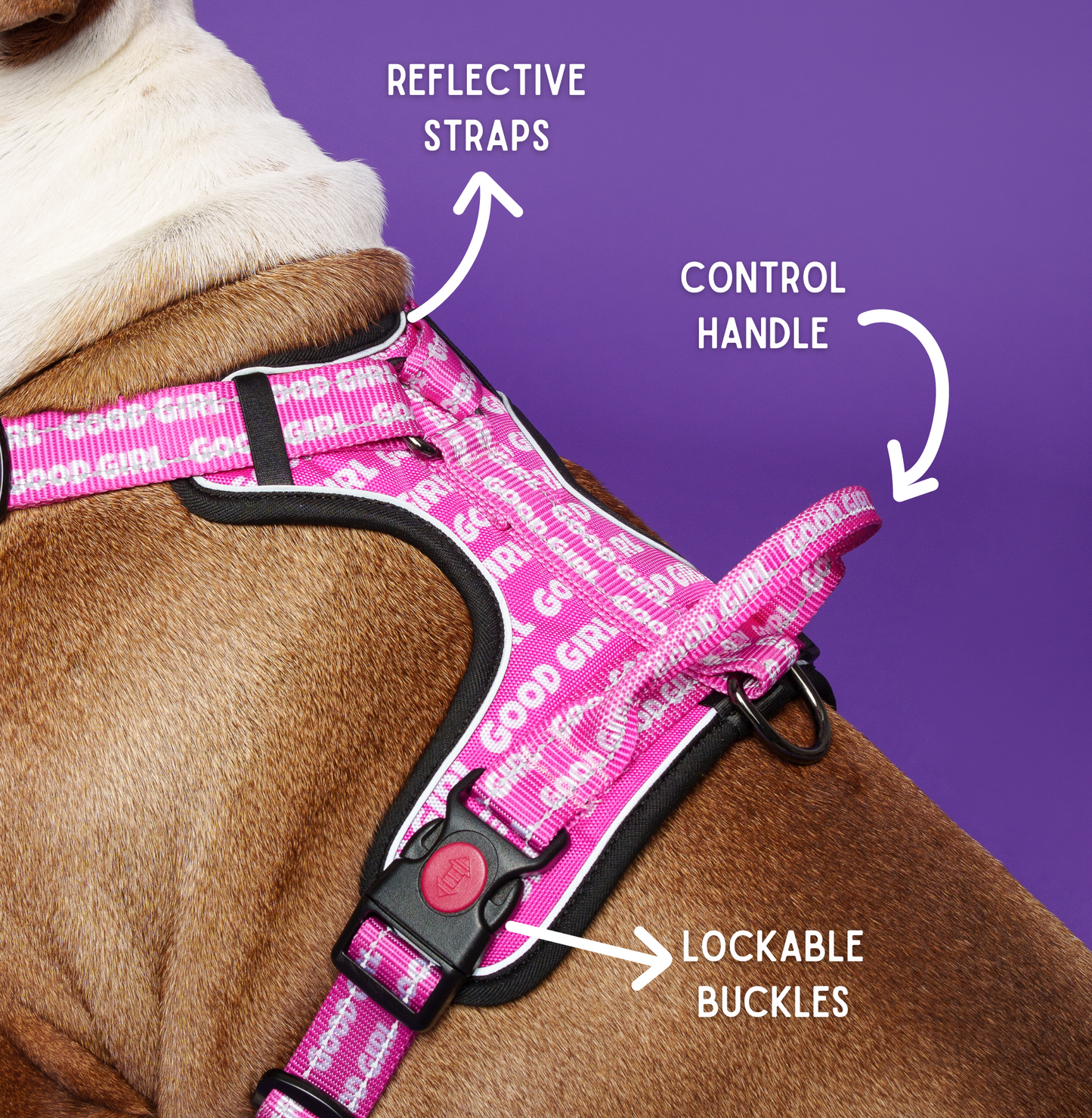 Good Girl Dog Harness