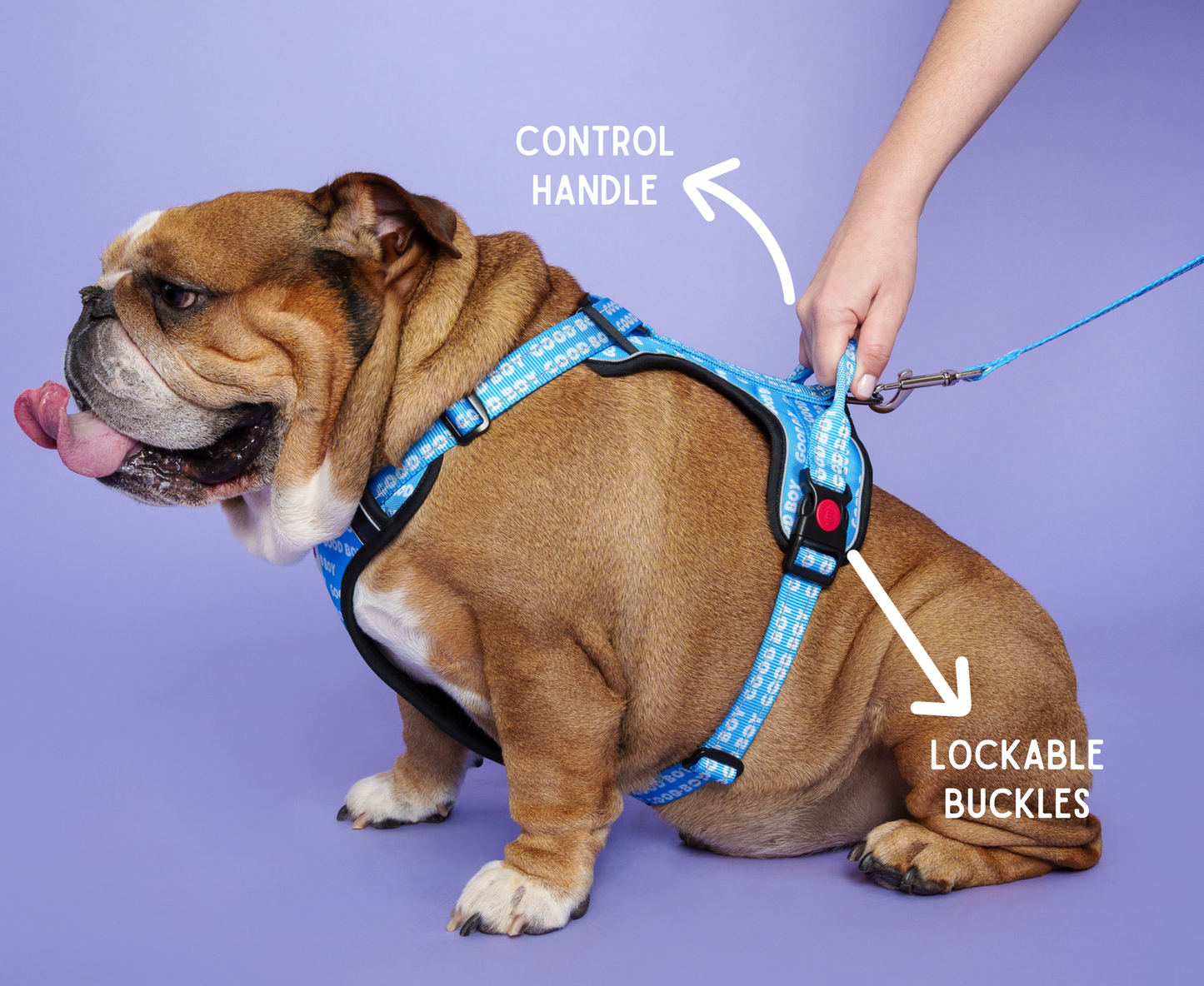 Good Boy Dog Harness