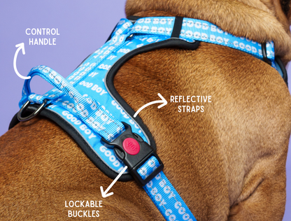 Good Boy Dog Harness