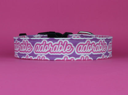 Adorable Pink and Purple One Size Collar