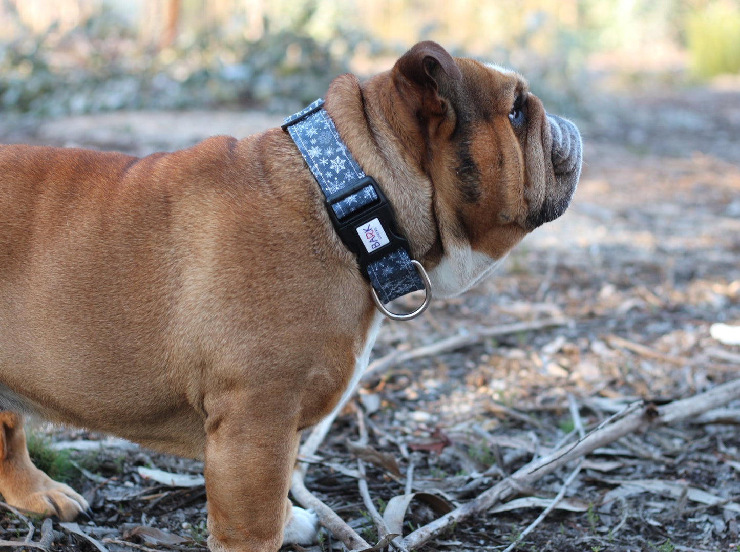 Snowflakes Dog Collar