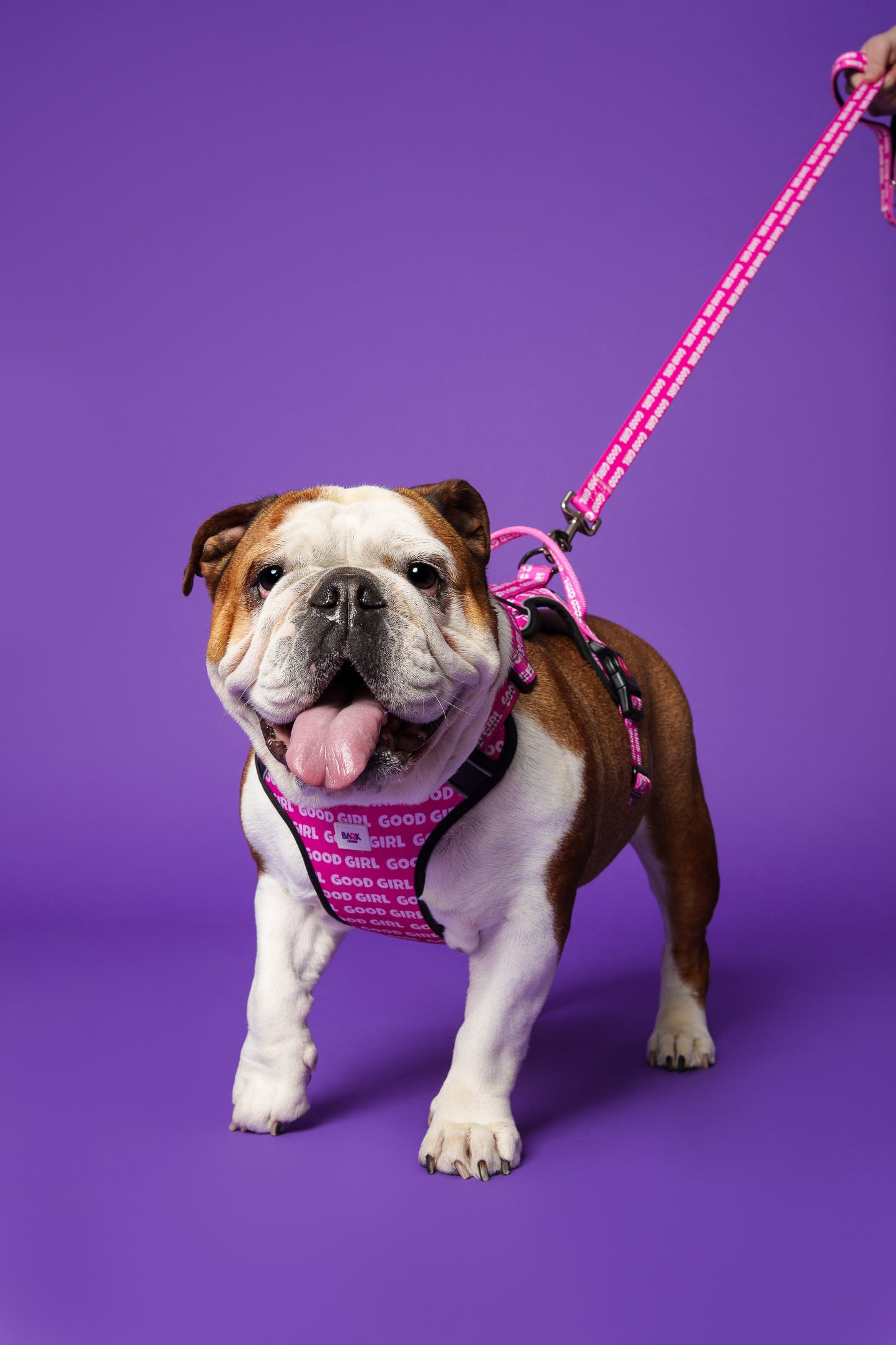 Good Girl Dog Harness