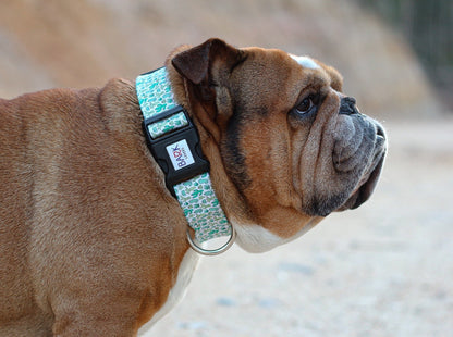 Cactus Dog Collar