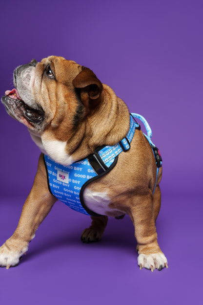 Good Boy Dog Harness